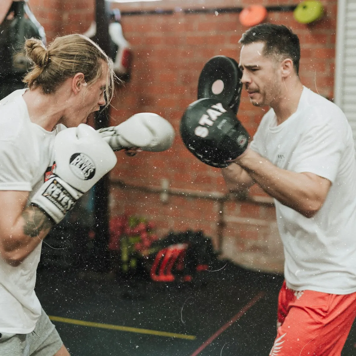 Fitness & Sparring