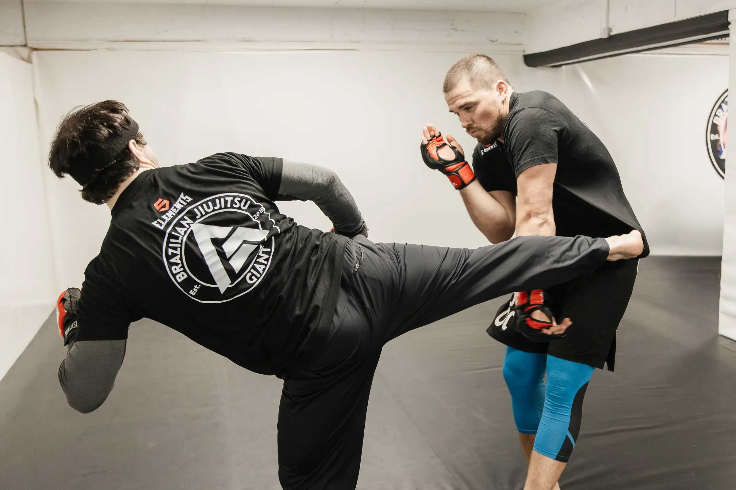 Striking & Takedowns